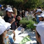 Με μεγάλη  συμμετοχή πραγματοποιήθηκε στην Σύρο η δράση “Aegean Mamas Know Best”