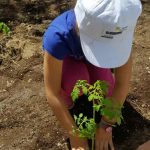 Οι μικροί κηπουροί του Αιγαίου ξεκινούν από την Κω το ταξίδι τους στην αιγαιακή διατροφή και γαστρονομία